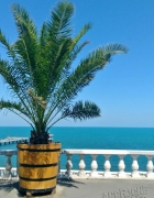 Pasta Cake (ou Gâteau de pâtes), le livre !